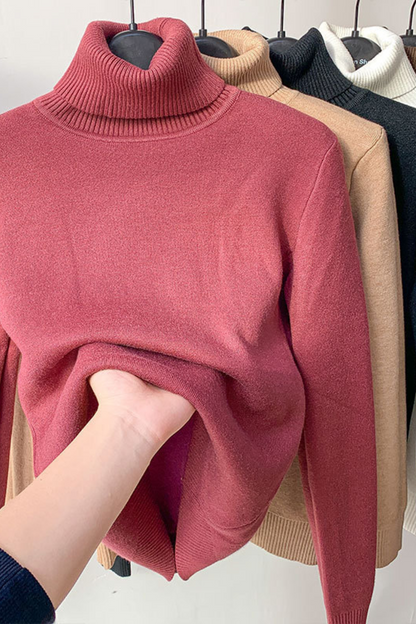 Women's Elegant Thick Turtleneck Winter Sweater